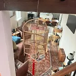 아파트 Le Napoleon *