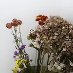 아파트 Le Napoleon